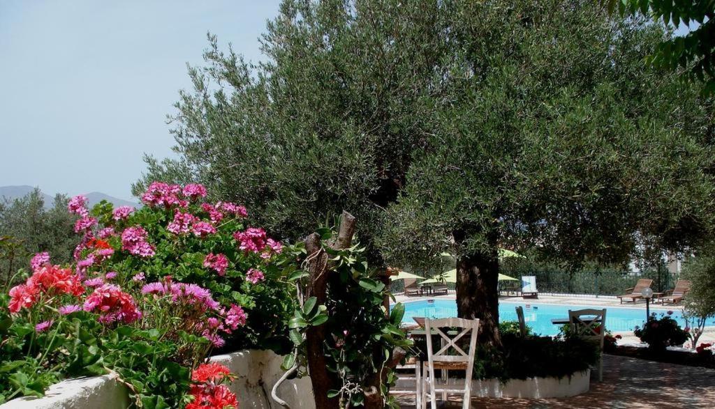 Katerina Charming Place Amoudara  Dış mekan fotoğraf