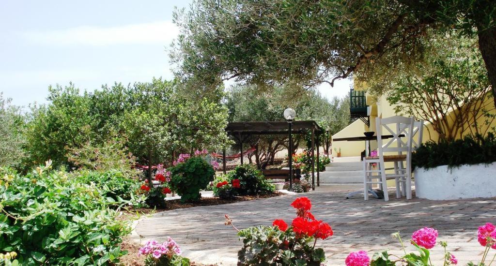 Katerina Charming Place Amoudara  Dış mekan fotoğraf