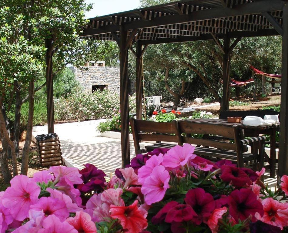 Katerina Charming Place Amoudara  Dış mekan fotoğraf