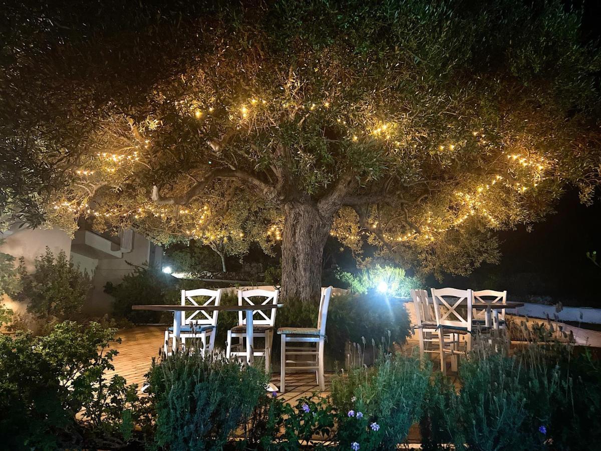 Katerina Charming Place Amoudara  Dış mekan fotoğraf